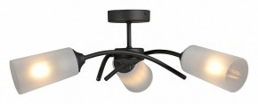 Люстра на штанге Vitaluce V2850 V2850-1/3PL в Сысерти - sysert.mebel24.online | фото 3