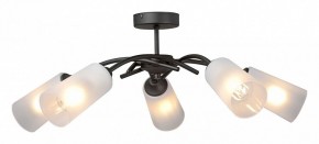 Люстра на штанге Vitaluce V2850 V2850-1/5PL в Сысерти - sysert.mebel24.online | фото