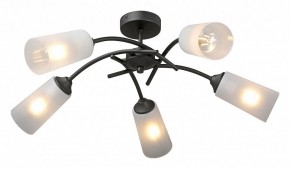 Люстра на штанге Vitaluce V2850 V2850-1/5PL в Сысерти - sysert.mebel24.online | фото 2