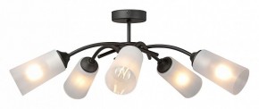 Люстра на штанге Vitaluce V2850 V2850-1/5PL в Сысерти - sysert.mebel24.online | фото 3