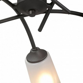 Люстра на штанге Vitaluce V2850 V2850-1/5PL в Сысерти - sysert.mebel24.online | фото 6