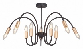 Люстра на штанге Vitaluce V3026 V3026-1/10PL в Сысерти - sysert.mebel24.online | фото 2