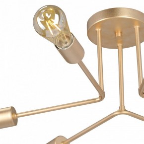 Люстра на штанге Vitaluce V3071 V3071-8/6PL в Сысерти - sysert.mebel24.online | фото 6
