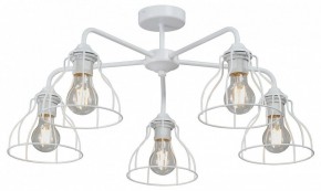Люстра на штанге Vitaluce V3102 V3102-0/5PL в Сысерти - sysert.mebel24.online | фото