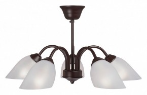 Люстра на штанге Vitaluce V3335 V3335-7/5PL в Сысерти - sysert.mebel24.online | фото