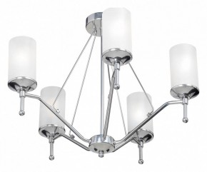 Люстра на штанге Vitaluce V4964 V4964-9/5PL в Сысерти - sysert.mebel24.online | фото 2
