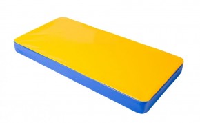 Мат гимнастический 1х0,5х0,08м цв. синий-желтый в Сысерти - sysert.mebel24.online | фото