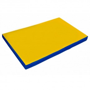 Мат гимнастический 2х1х0,05м цв. синий-желтый в Сысерти - sysert.mebel24.online | фото
