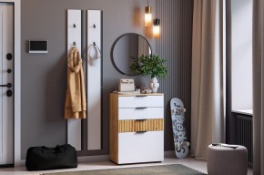 МЕБЕЛЬСОН К21 Прихожая в Сысерти - sysert.mebel24.online | фото