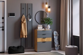 МЕБЕЛЬСОН К21 Прихожая в Сысерти - sysert.mebel24.online | фото 2
