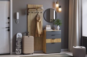 МЕБЕЛЬСОН К3 Прихожая (графит) в Сысерти - sysert.mebel24.online | фото
