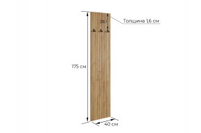 МЕБЕЛЬСОН К8 Прихожая в Сысерти - sysert.mebel24.online | фото 3