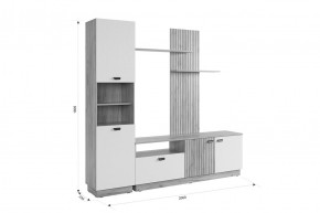 МОДИ Гостиная (модульная) белое дерево в Сысерти - sysert.mebel24.online | фото 2