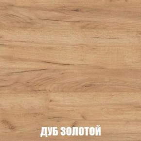 МСП-1 Шкаф 2-х створчатый (Дуб Золотой/Камень темный) в Сысерти - sysert.mebel24.online | фото 4