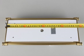 Накладной светильник Aployt Zoe APL.806.01.02 в Сысерти - sysert.mebel24.online | фото 9
