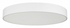 Накладной светильник Arlight TOR PILL 022132(4) в Сысерти - sysert.mebel24.online | фото