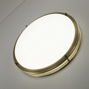 Накладной светильник Citilux Бостон CL709503N в Сысерти - sysert.mebel24.online | фото 7