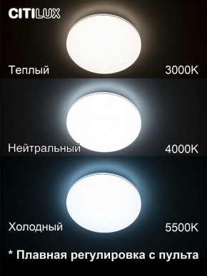Накладной светильник Citilux Симпла CL714330G в Сысерти - sysert.mebel24.online | фото 4
