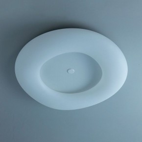 Накладной светильник Citilux Стратус Смарт CL732A800G в Сысерти - sysert.mebel24.online | фото 10