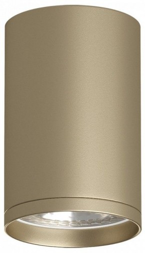 Накладной светильник Denkirs TUBE DK2050-SG в Сысерти - sysert.mebel24.online | фото 1
