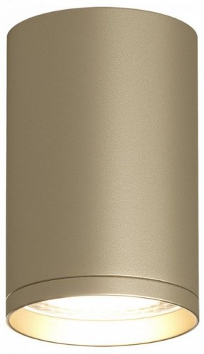 Накладной светильник Denkirs TUBE DK2050-SG в Сысерти - sysert.mebel24.online | фото 2
