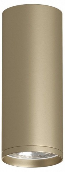 Накладной светильник Denkirs TUBE DK2051-SG в Сысерти - sysert.mebel24.online | фото 1