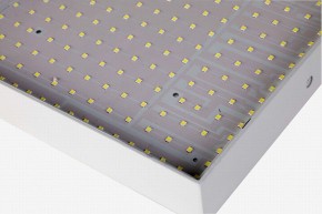 Накладной светильник Favourite Flashled 2066-30C в Сысерти - sysert.mebel24.online | фото 2