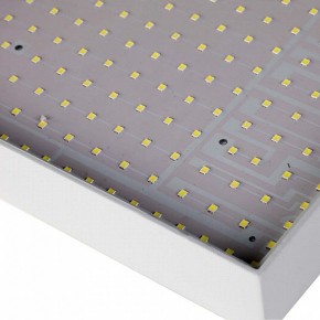 Накладной светильник Favourite Flashled 2066-30C в Сысерти - sysert.mebel24.online | фото 4