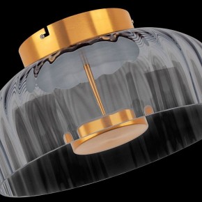 Накладной светильник Lightstar Celesta 809061 в Сысерти - sysert.mebel24.online | фото 10