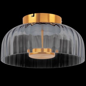 Накладной светильник Lightstar Celesta 809061 в Сысерти - sysert.mebel24.online | фото 3
