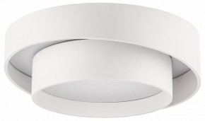 Накладной светильник Lightstar Celesta 809416 в Сысерти - sysert.mebel24.online | фото