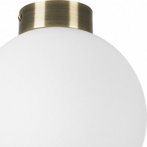 Накладной светильник Lightstar Globo 812021 в Сысерти - sysert.mebel24.online | фото 3
