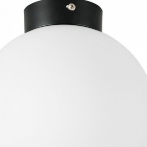 Накладной светильник Lightstar Globo 812027 в Сысерти - sysert.mebel24.online | фото 2