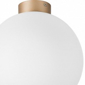 Накладной светильник Lightstar Globo 812033 в Сысерти - sysert.mebel24.online | фото 2