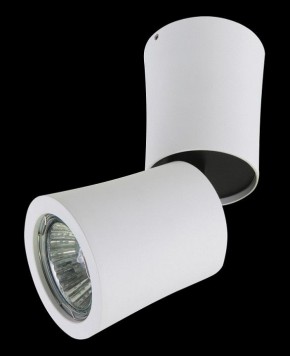 Накладной светильник Lightstar Rotonda 214456 в Сысерти - sysert.mebel24.online | фото 2