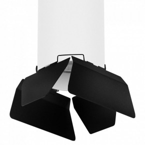 Накладной светильник Lightstar Rullo R6496487 в Сысерти - sysert.mebel24.online | фото 2