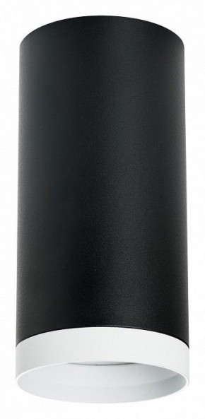 Накладной светильник Lightstar Rullo R64873486 в Сысерти - sysert.mebel24.online | фото