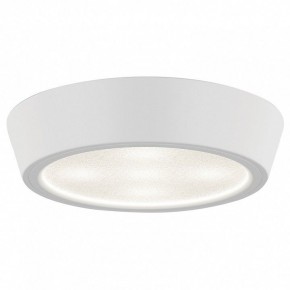 Накладной светильник Lightstar Urbano 214902 в Сысерти - sysert.mebel24.online | фото