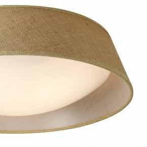 Накладной светильник Mantra Sabina 6413 в Сысерти - sysert.mebel24.online | фото 3