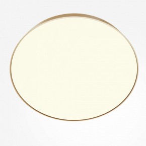 Накладной светильник Maytoni Zon C032CL-90W3K-RD-MG в Сысерти - sysert.mebel24.online | фото 2