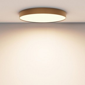 Накладной светильник Maytoni Zon C032CL-90W3K-RD-MG в Сысерти - sysert.mebel24.online | фото 4