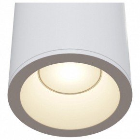 Накладной светильник Maytoni Zoom C029CL-01W в Сысерти - sysert.mebel24.online | фото 4