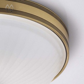 Накладной светильник MW-Light Ангел 12 295013402 в Сысерти - sysert.mebel24.online | фото 7