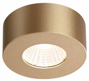 Накладной светильник Odeon Light Bene 4284/7CL в Сысерти - sysert.mebel24.online | фото 4