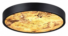 Накладной светильник Odeon Light Bergi 5064/24L в Сысерти - sysert.mebel24.online | фото 5