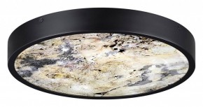 Накладной светильник Odeon Light Bergi 5064/30L в Сысерти - sysert.mebel24.online | фото 4