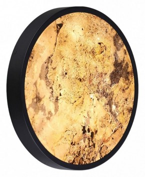 Накладной светильник Odeon Light Bergi 5064/30L в Сысерти - sysert.mebel24.online | фото 5