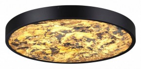 Накладной светильник Odeon Light Bergi 5064/40L в Сысерти - sysert.mebel24.online | фото 2