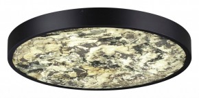 Накладной светильник Odeon Light Bergi 5064/40L в Сысерти - sysert.mebel24.online | фото 3