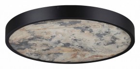 Накладной светильник Odeon Light Bergi 5064/40L в Сысерти - sysert.mebel24.online | фото 6
